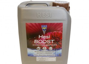Hesi Boost 5 L